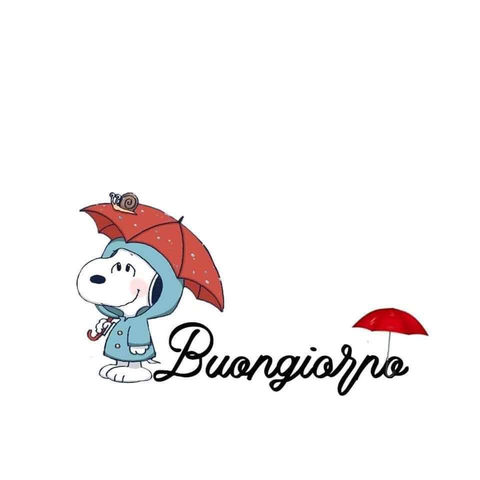 Marianna tweet media