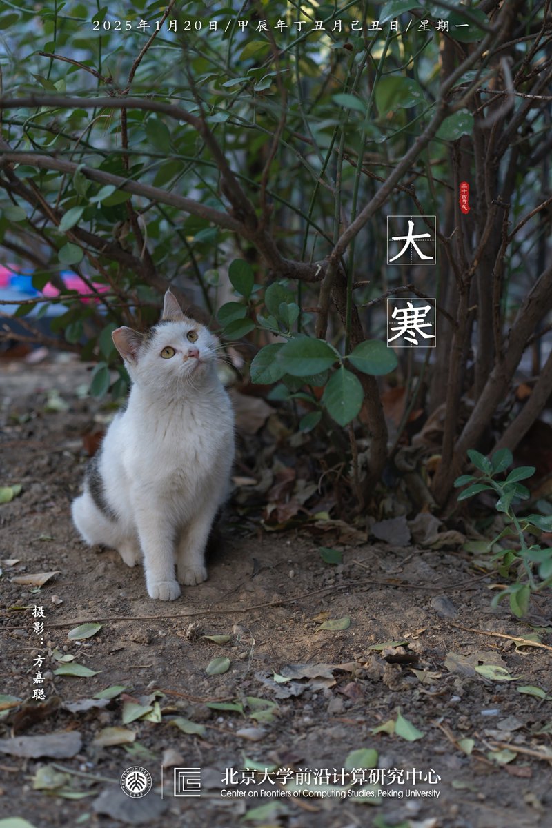 pkucfcs2017's tweet photo. Greetings on Major Cold!  (Photo by Jiacong Fang) #PekingUniversity https://t.co/359kUWVA2d