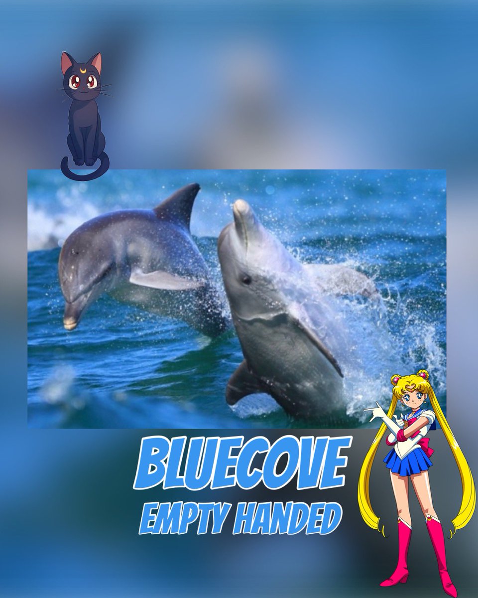 mamimoe1's tweet photo. #BlueCove 💙
#EmptyHanded
手ぶらで戻りました👍🐬🐳
@WakayamaPref
@MAFF_JAPAN
#太地
Jan,20 2025 Monday https://t.co/8oHAG9dfIC