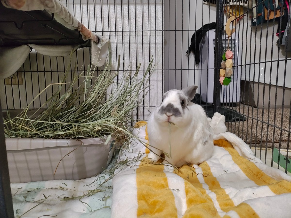 Princess Sephiroth 🍉 tweet media