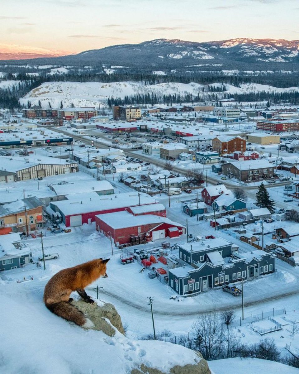 👁️ 👃👁️ tweet media