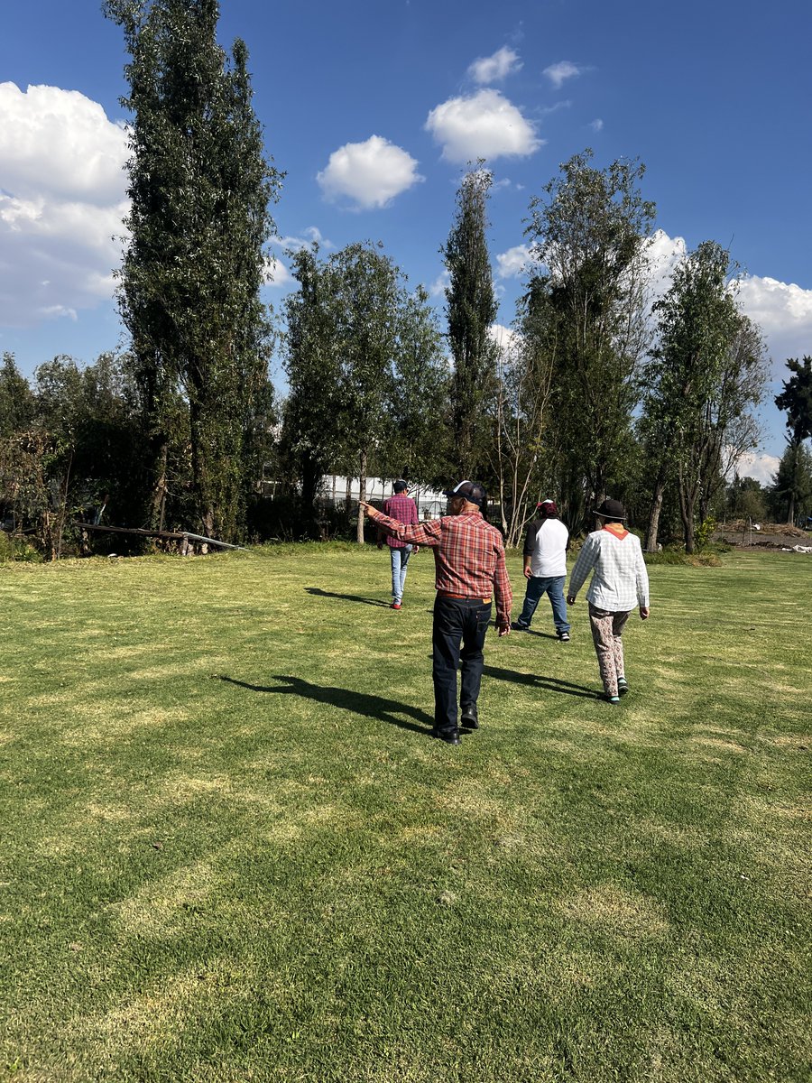 AgriPV10's tweet photo. trajinera. Al llegar, fueron recibidos con un vaso de fresco y delicioso #kompot , posteriormente dimos lugar al recorrido para terminar con un degustando un delicioso #shashlik https://t.co/Zrgyc86RF5