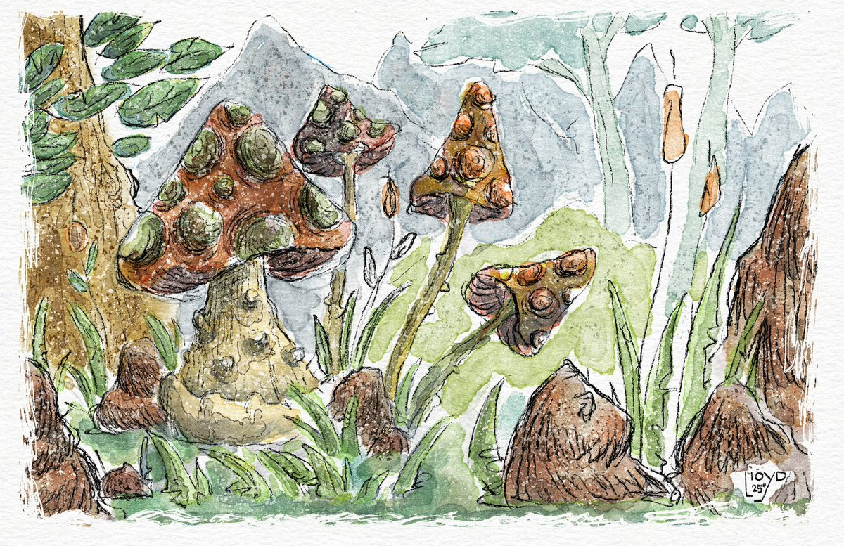 lloyd_738's tweet photo. Sketch exercise 
#watercolor #Procreate #CLIPSTUDIOPAINT https://t.co/oQnFsMRZnf