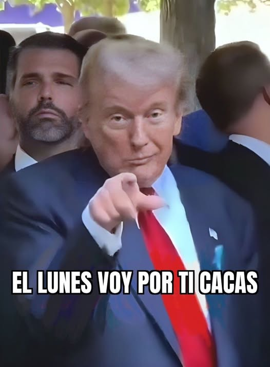 DRA. MERCEDES PAVON "SUPERMUELITA FIFÍ" tweet media