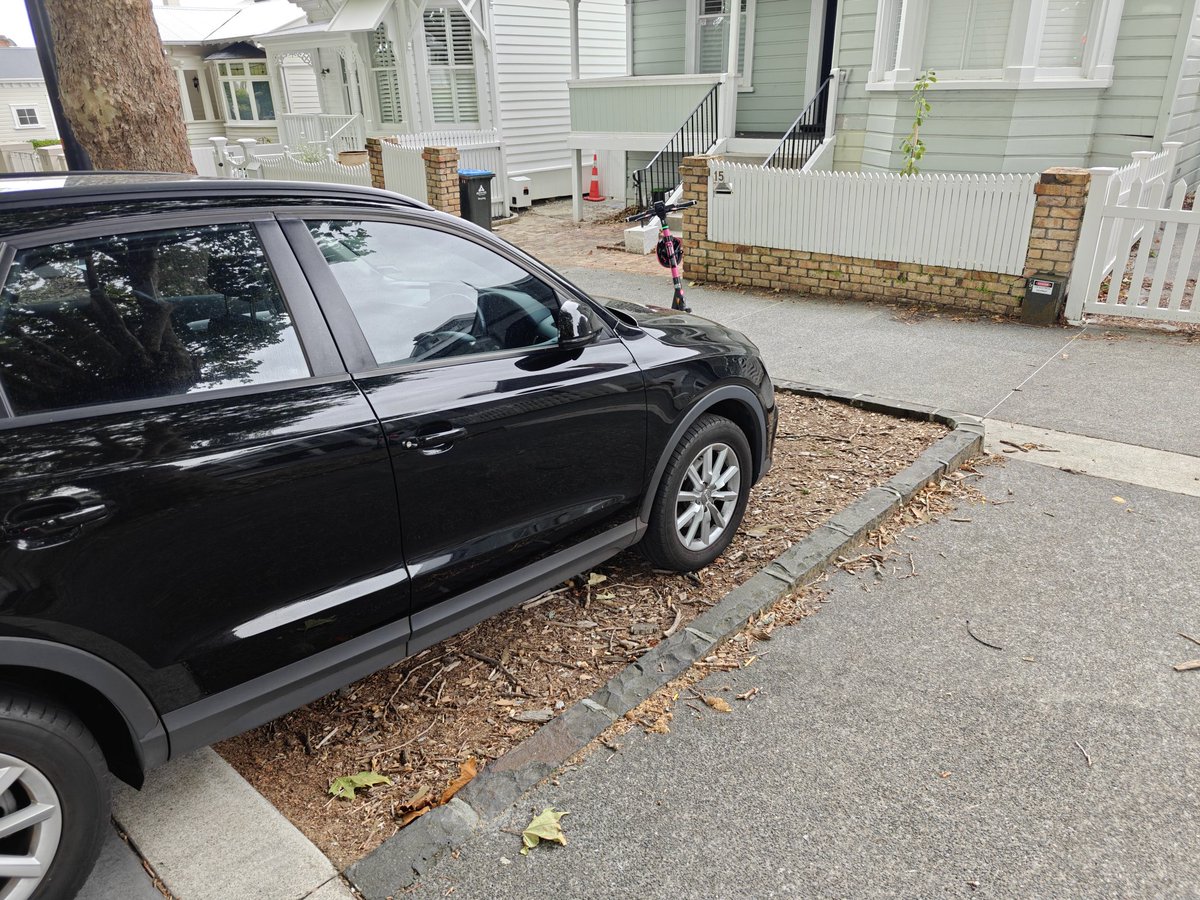 Cyclelane is bad enough but the Franklin Rd tree roots are to be protected