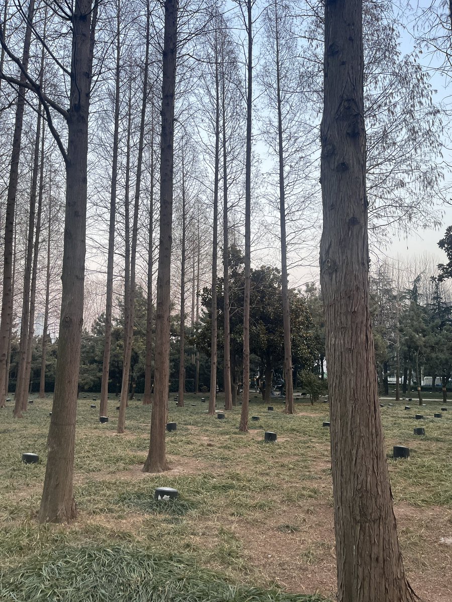 福利姬贪吃琪（无性版）分享的黄推图片2 - 网红私拍内容