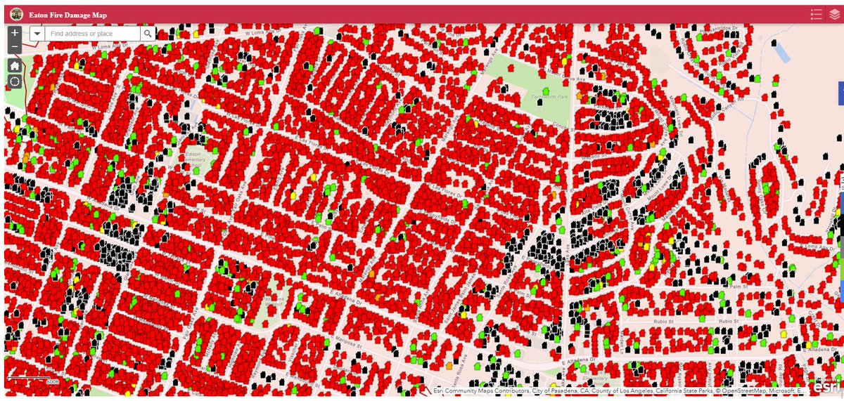 Edgar McGregor tweet media