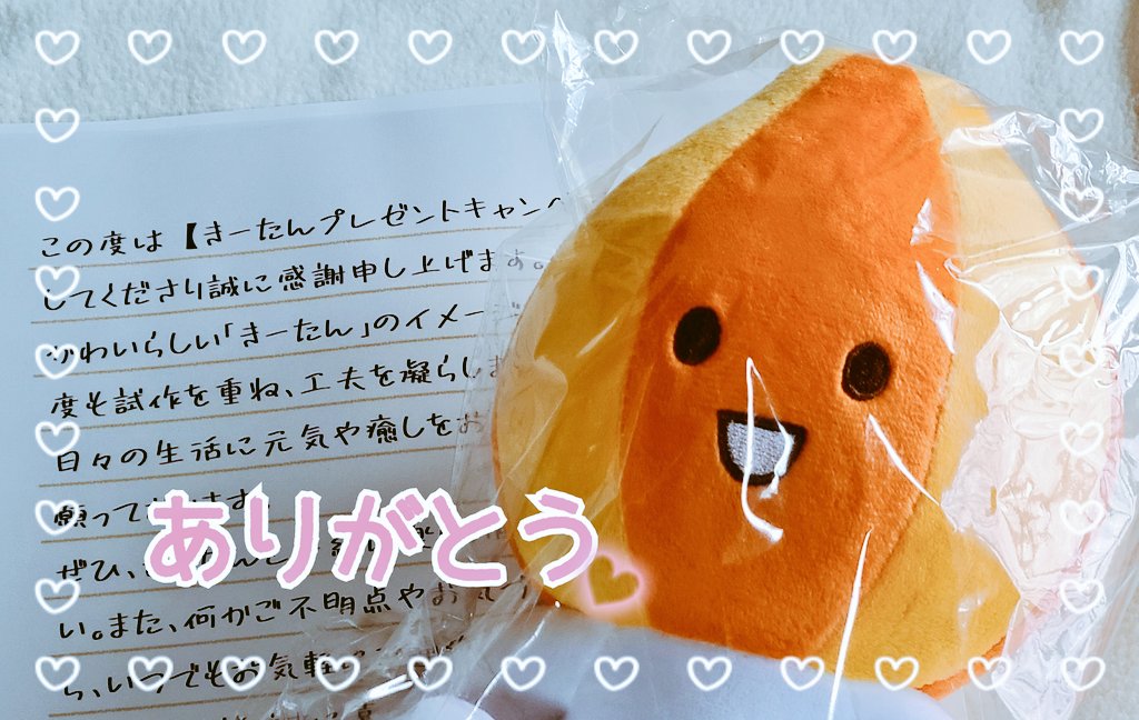 きーたん様ご専用 きーたん様専用｜Yahoo!フリマ（旧PayPay