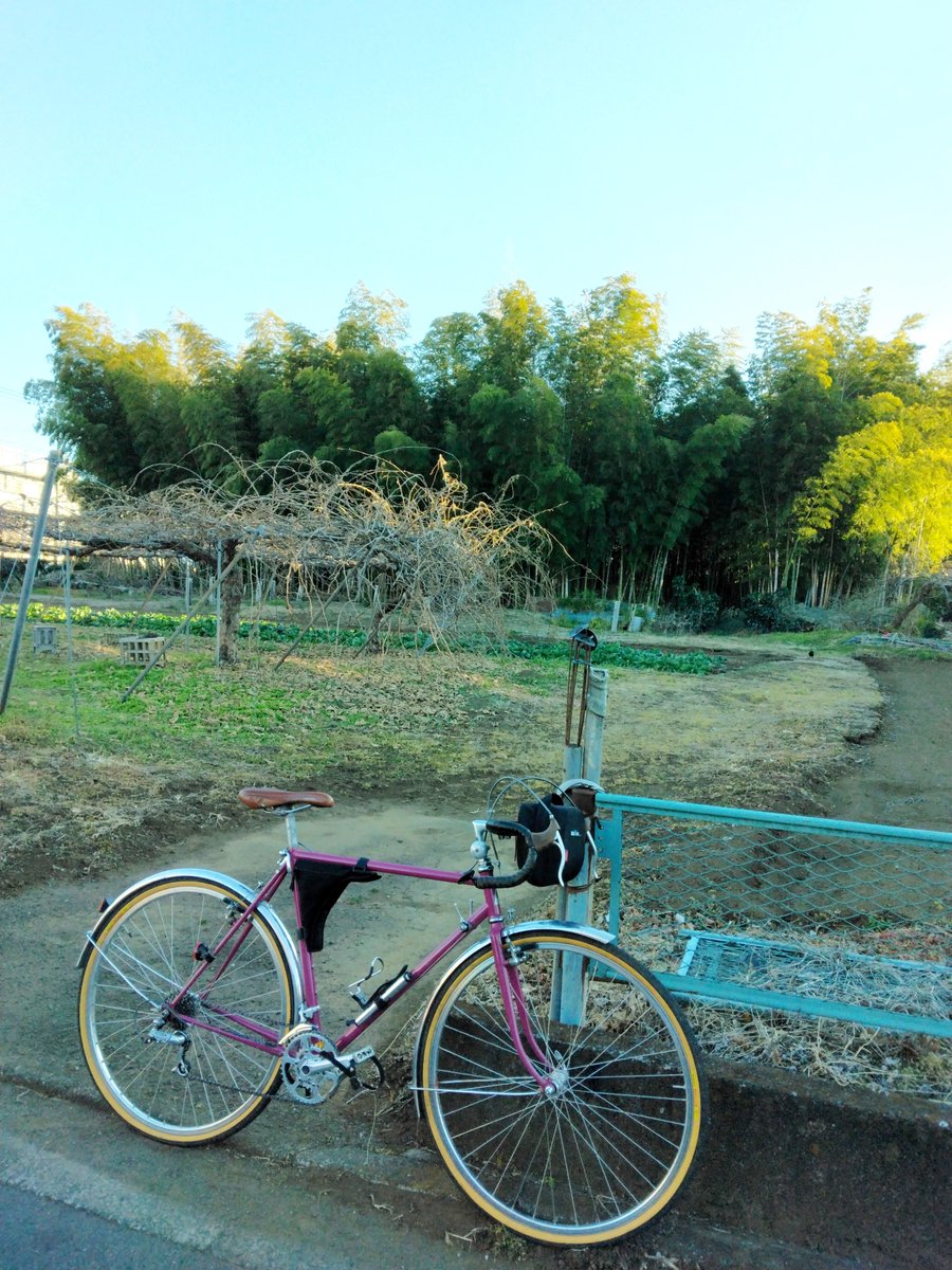 IWASHI7777777's tweet photo. @okuchangt 我が愛車は #ドロップ #700C #35C #ドロヨケ 付きのスタイルだったこともあり、段々ドロヨケ外す気がなくなり・・・、クリアランス違う太細両ホイールの出番減少。昨日はフロントの歪んだステーを交換、見栄えが良くなりました。たまには、太ホイールにしてオフロードも行かないとなぁ。 https://t.co/mnH3IZoCjm