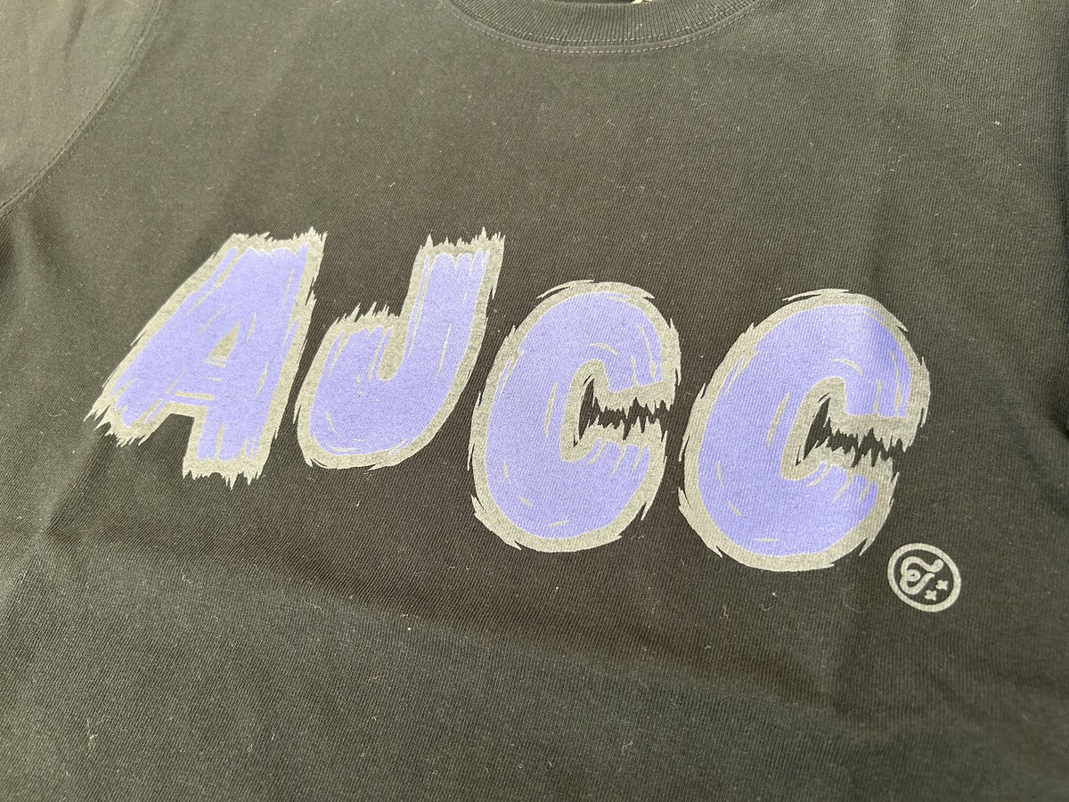 hokkaido_cc2025's tweet image. チャンピオンクラシックTシャツが本日着弾しました！北海道の担当カラーは紫💜
めちゃくちゃカッコイイTシャツをどうもありがとうございました🙇‍♀️

#AJCC 
#HCC2025 
#evilwire