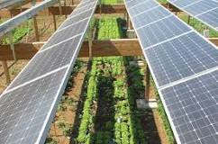 DavidNStocks1's tweet image. Agrivoltaics (agrophotovoltaics, agrisolar, or dual-use solar) is the dual use of land for solar energy production &amp;amp; agriculture
#NotRocketScience
