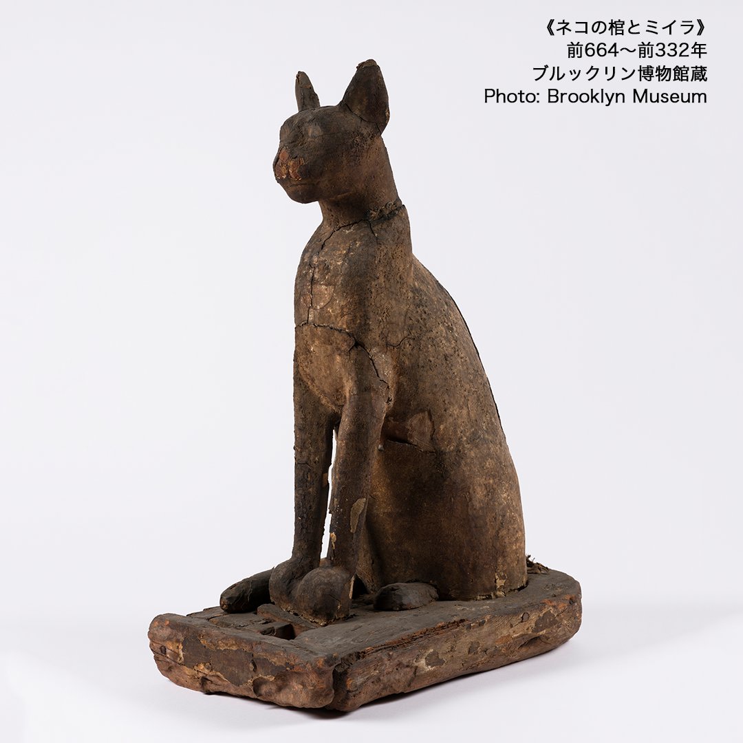 人間と同じ方法でミイラ化されたネコ🐈 先王朝時代（前4400～前3100年