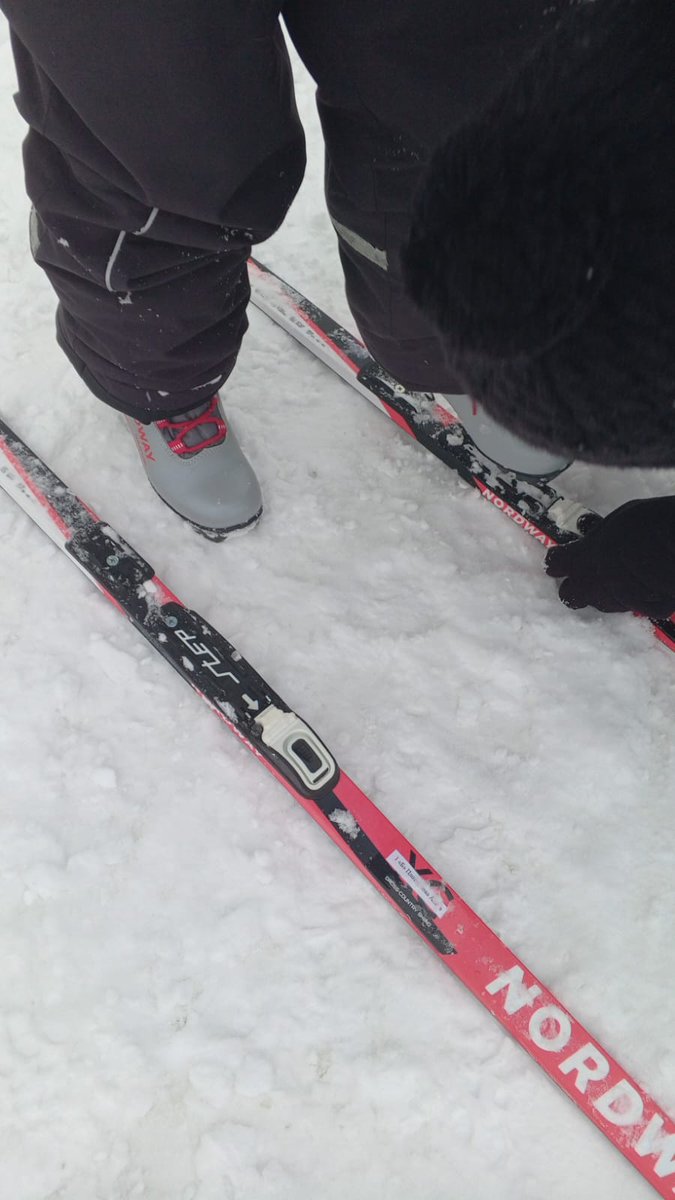 Хомяк Михалыч tweet media