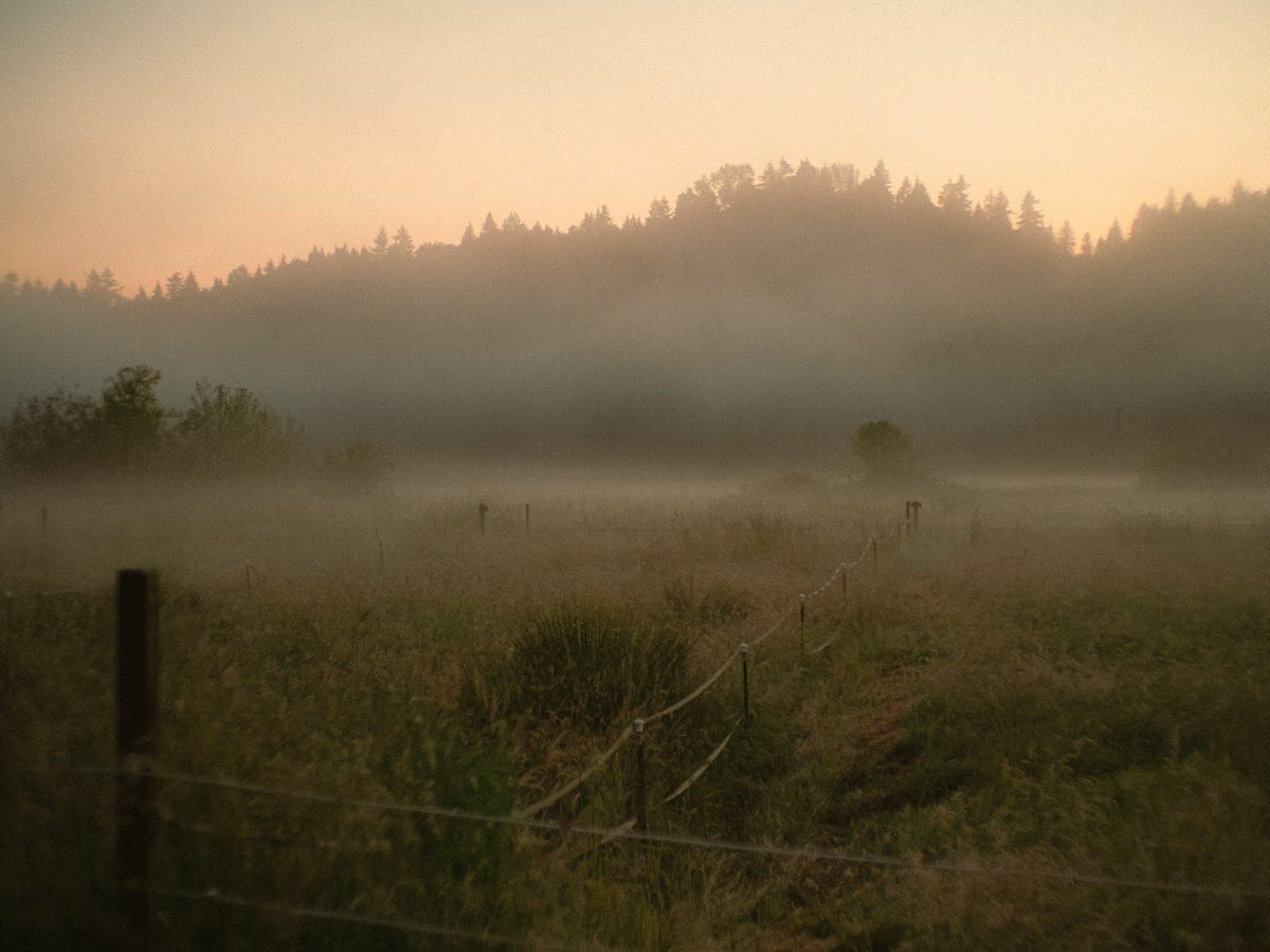 This time is that last time 

#dadwilder #moody #dark #night #nightcrawler