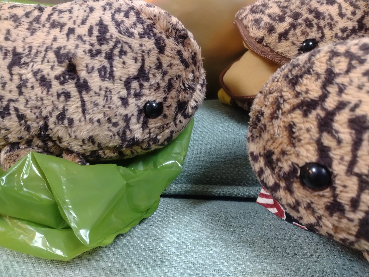 sansyo26's tweet photo. お土産にした子をちょっと前に、渡してきた。
「また会おうね！」「名前つけてもらえるといいね！」「一緒に旅してくれたら良いね！」のお見送り。 https://t.co/cNiQB9higL