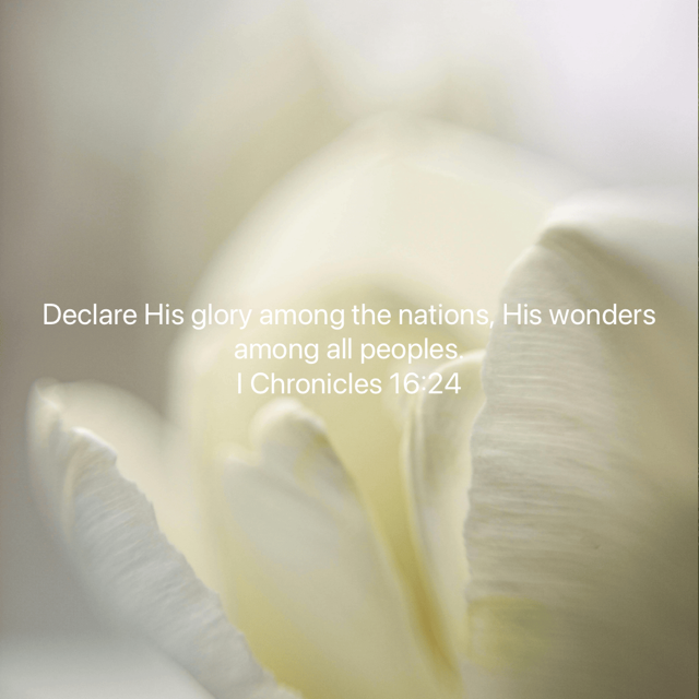 We have a way maker, promise keeper, and light in the darkness