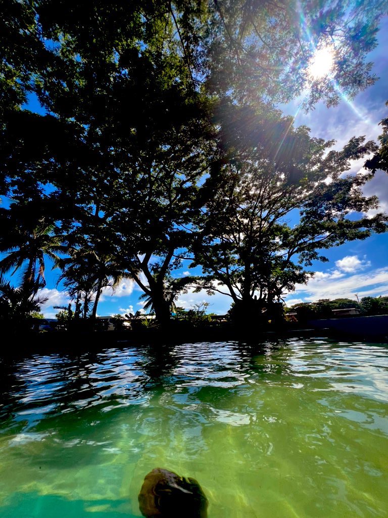 Suzy679's tweet photo. Sabeto Hot Springs and Mud Pool 💯🙌
#Nadi #DayOffThings #SelfCare https://t.co/hKC3saoe9Q