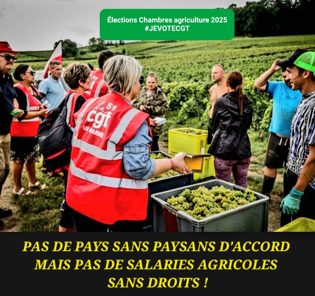 Pas de pays sans paysans OK 
Mais pas de salariés agricoles sans droits !
#jevotecgt #agriculture #TikTok #électionschambresagriculture #Bretagne #ruralite