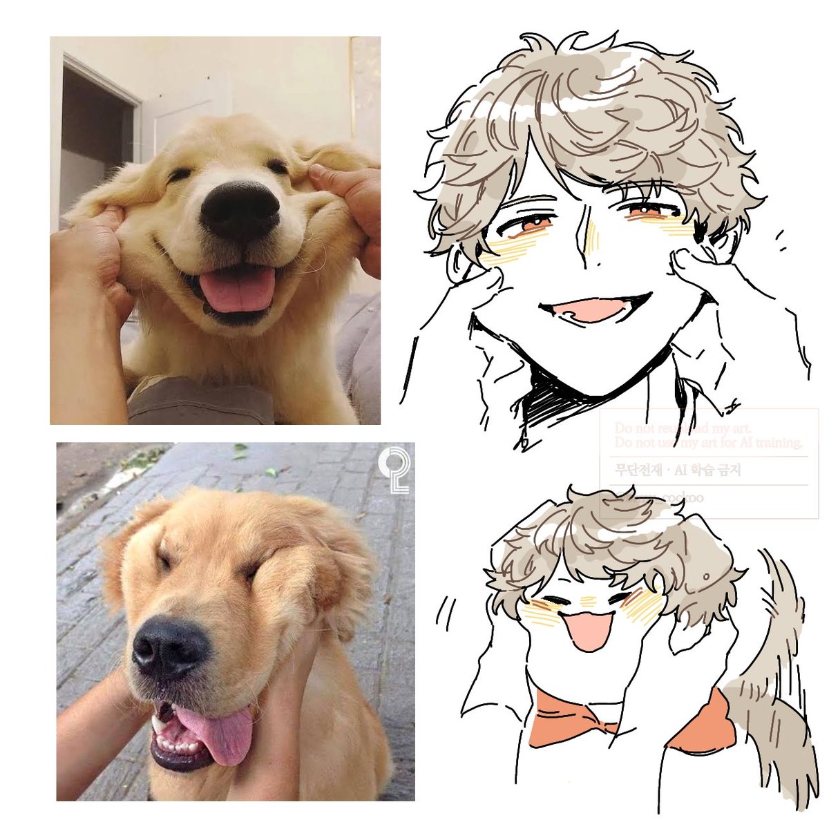 brmy_cockoo's tweet photo. 🐶 https://t.co/HGlS5dhhpG