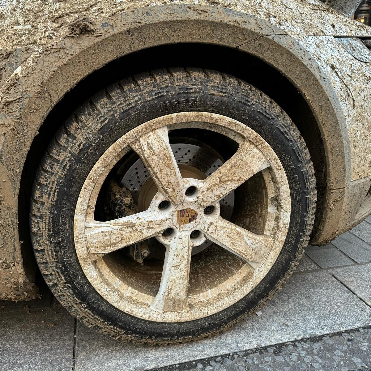 mayonakanodrive tweet media