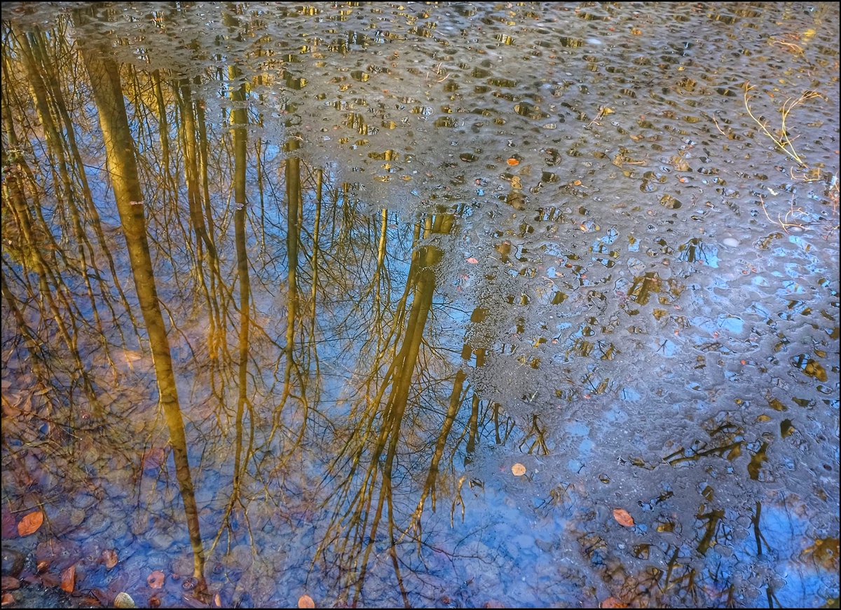 #GoodMorning &amp; have a great day😊

For #BlueMonday and the beginning of the new week, a few more sunny snapshots from yesterday's walk under my sky 🙂

And #SongOfTheDay is "In A Dream With You" 🎶
youtu.be/QXHTfPMTSzw?si…

#DiscoverPoland #LoveWhereILive