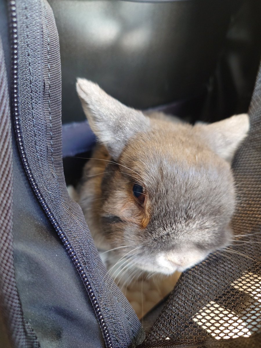 歯医者さん頑張りました🏥
帰宅してホット一息( ´ー｀)ﾌｩ-