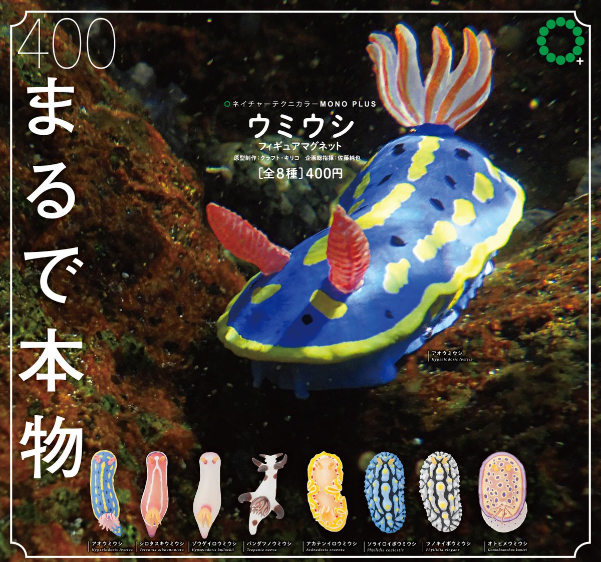 ウチウミタクオ様ページ NTC MONO+「ウミウシ フィギュアマグネット」、売り場で商品を探す際の