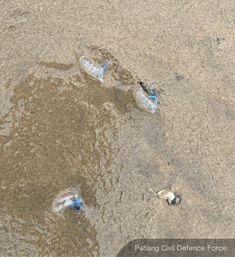 BFM News tweet media