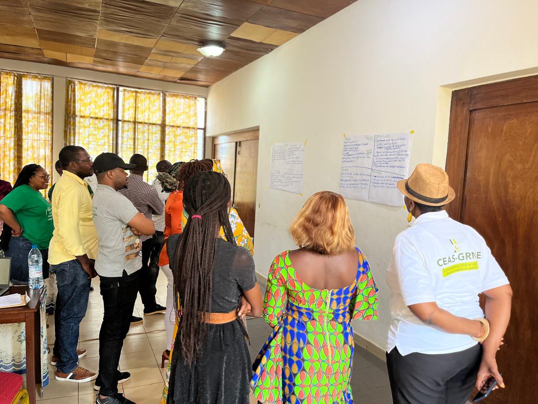 Plan d'actions stratégiques 2025-2029 et planification annuelle des activités de FLAG peaufinés à l'issue d'une séance de travail de deux jours du 16 au 17  janvier 2025.