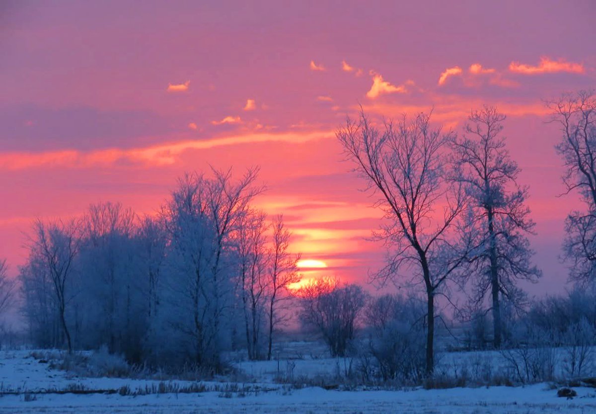 therealcjthadj's tweet photo. @YHZweatherguy Good Morning from Wolastoqiyik Territory 🥶❄️
#ShareYourWeather #NBStorm https://t.co/QnLIscVXJd