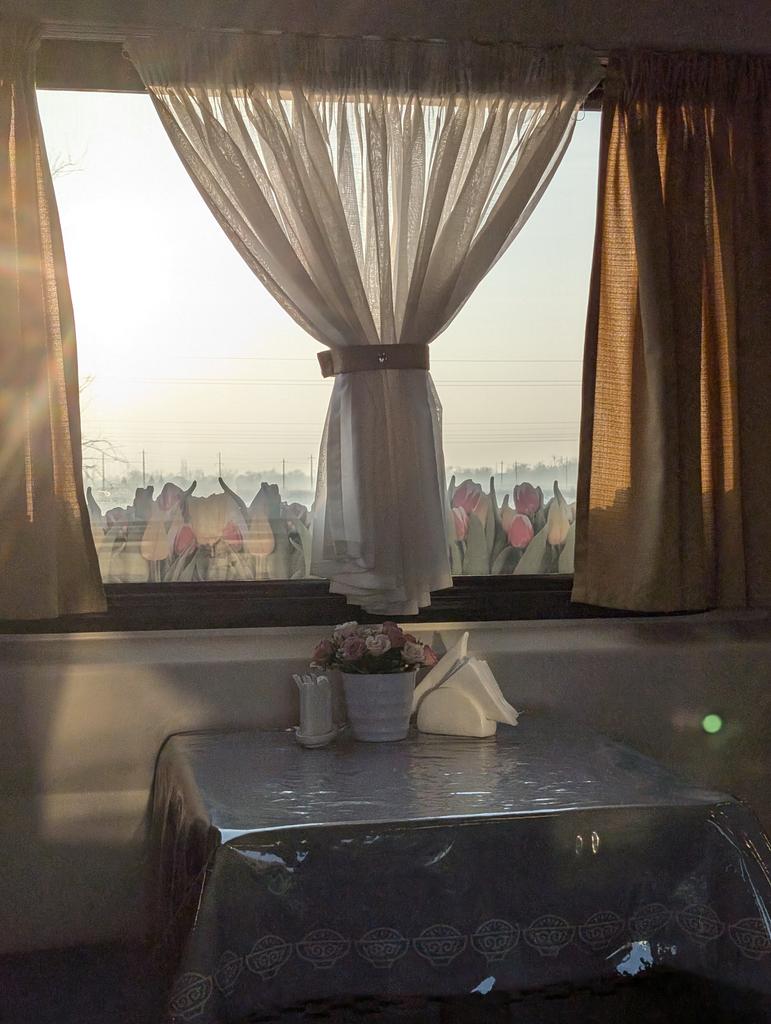 jajajajakob tweet media