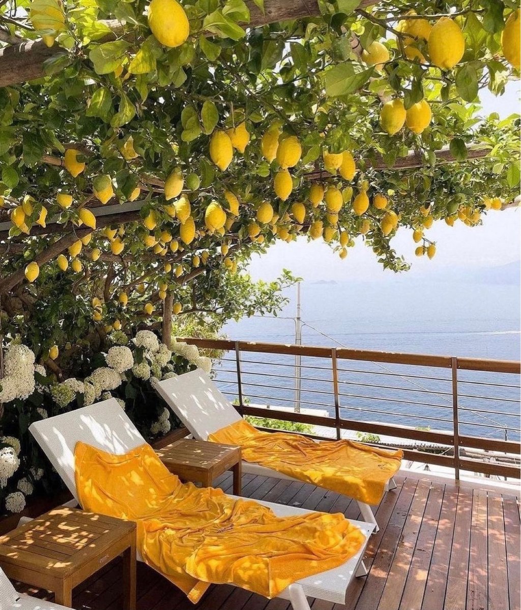 poetical photos. (@poeticalphotos) on Twitter photo 