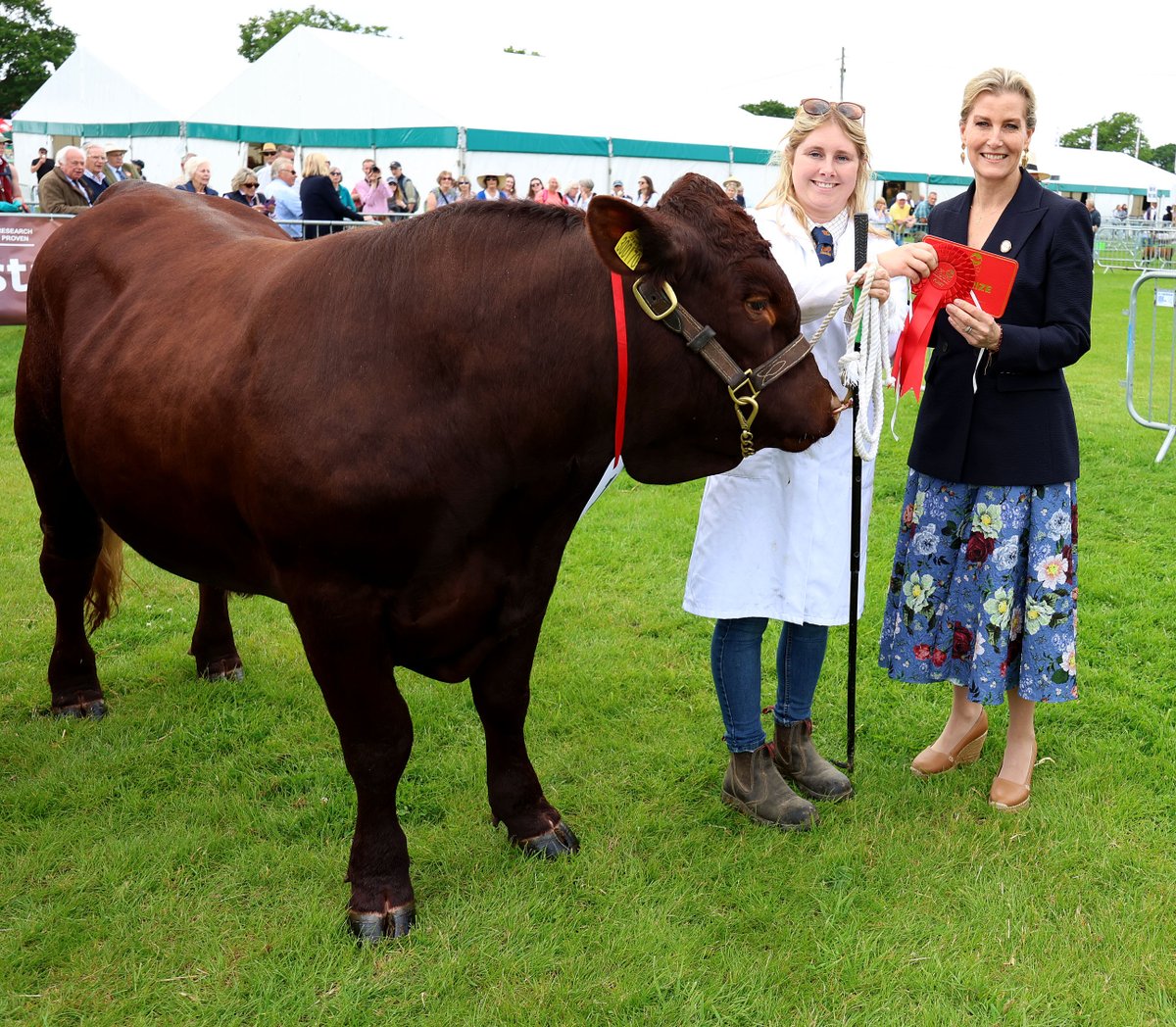 Wishing our Patron HRH The Duchess of Edinburgh a wonderful 60th birthday today 💛

<a href="/RoyalFamily/">The Royal Family</a>
Photographed at the 2024 South of England Show