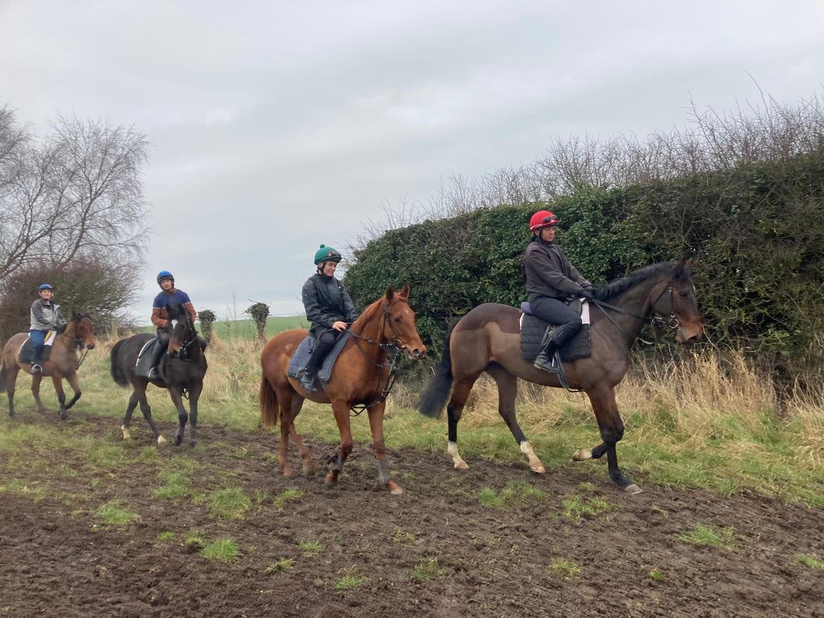 mdodsracing's tweet image. We are all delighted to see our apprentice Rhys Elliott back on the gallops this moring for the first time since suffering multiple injuries in a fall at @NewcastleRaces last October. Welcome back Rhys!
michaeldodsracing.co.uk/news-listing/r…