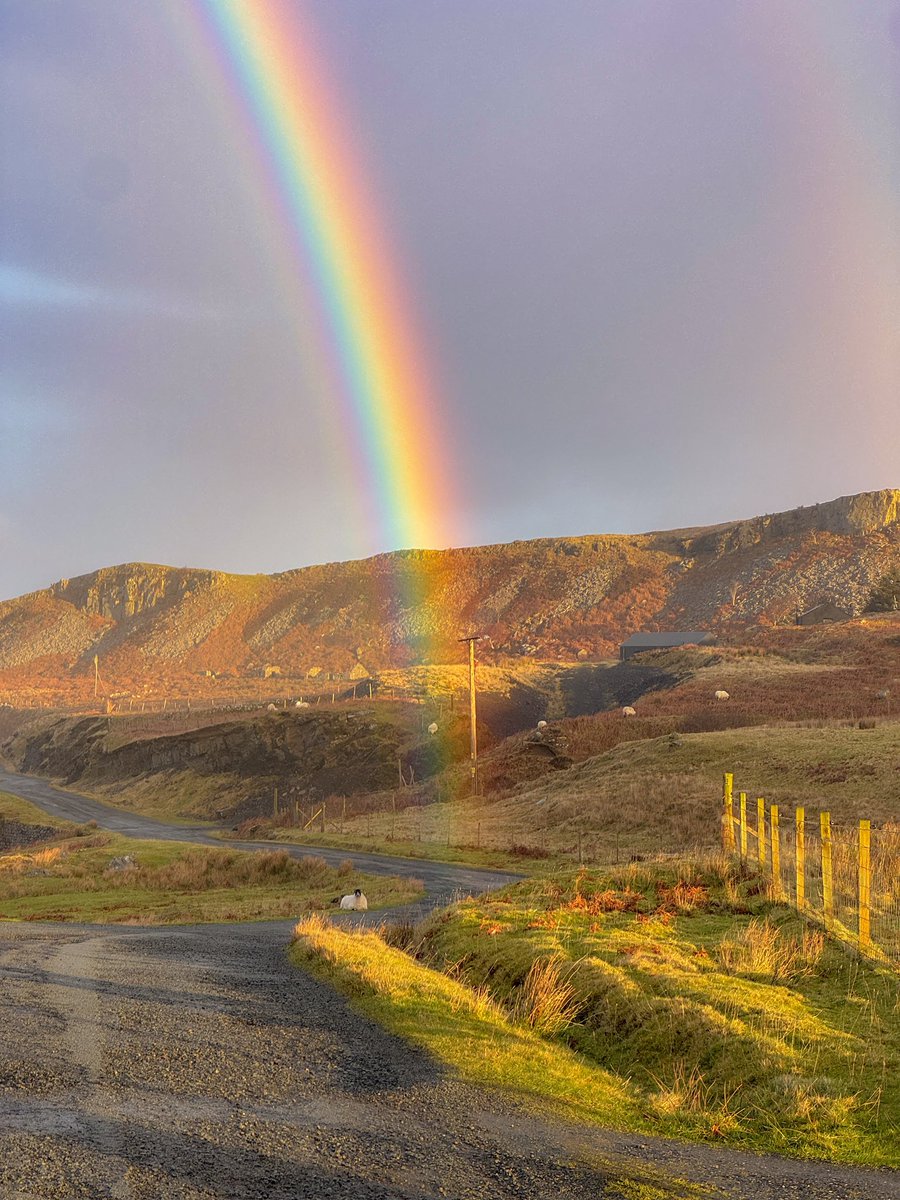 CalumRaasay's tweet image. Found the end of the rainbow and like everything in the highlands, there’s sheep there.