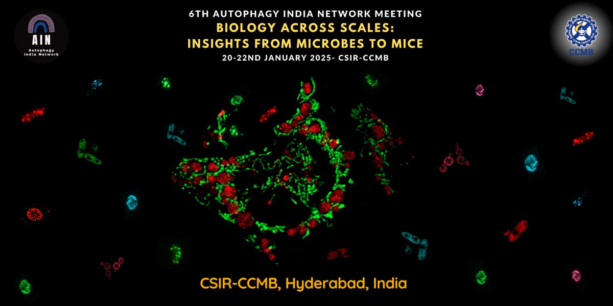 sriram_varahan's tweet image. Excited to kickstart the 6th @Autophagy_India meeting @ccmb_csir with @Chauhanlab_ILS 

Looking forward to the amazing line-up of talks and poster sessions 😊

🧵⬇️ for more updates