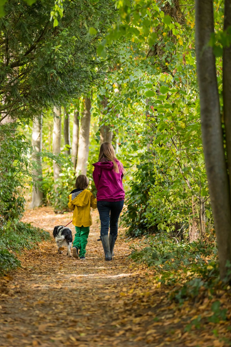 Hestercombe Gardens tweet media