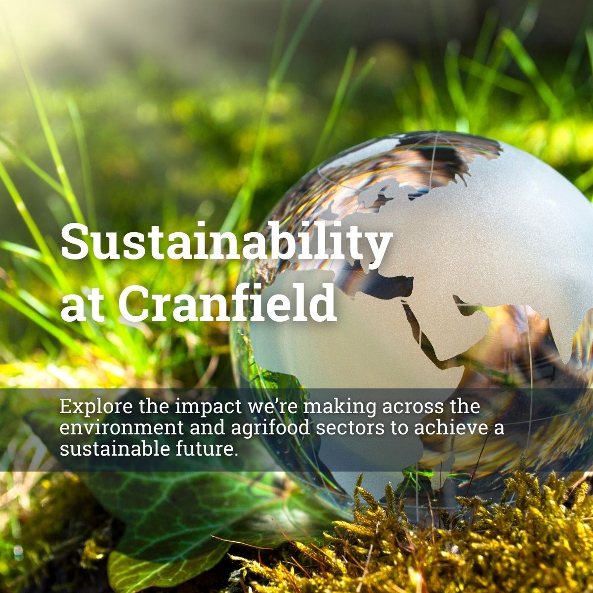 Explore the impact our academics, students and researchers are making across the #agrifood sector to achieve a sustainable future. #SustainabilityAtCranfield

Find out more: bit.ly/3sL2SI1