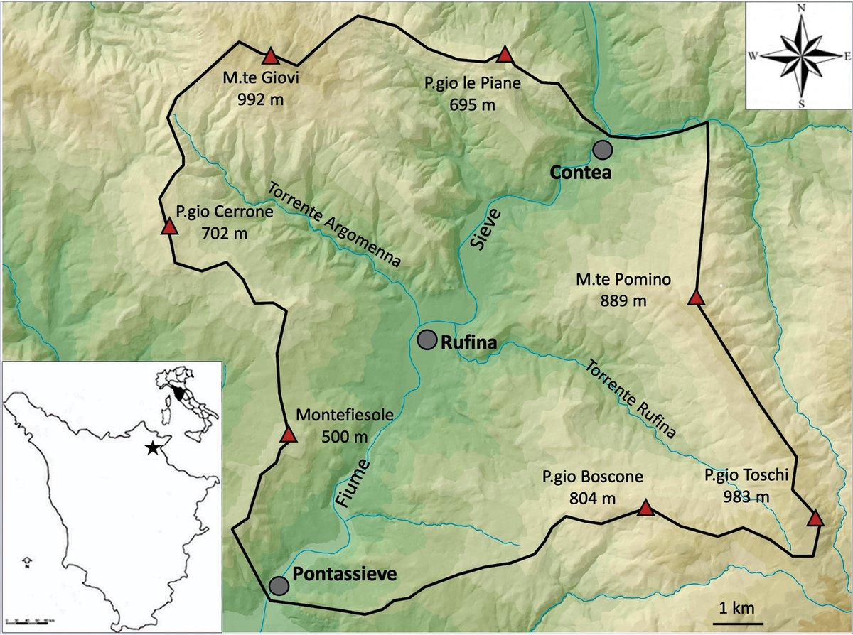 Italian Botanist tweet media