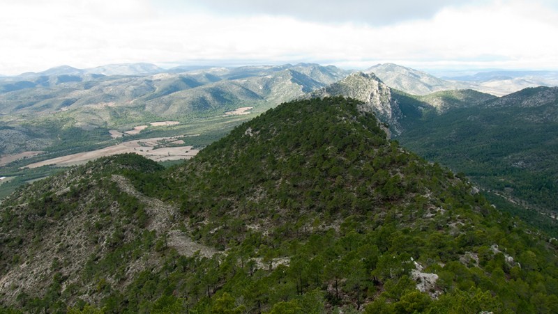 La_Carrasca's tweet image. 🏔️ ¡Ascensión al Pajarón, Moratalla! 🥾
Únete a nuestra próxima ruta de montañismo y senderismo que hemos planificado. Ascenderemos al Pajarón (1.560 m), una de las cumbres más panorámicas de todo el extremo noroeste de la Región de Murcia.
🗓 25 de enero
¡No te la pierdas!