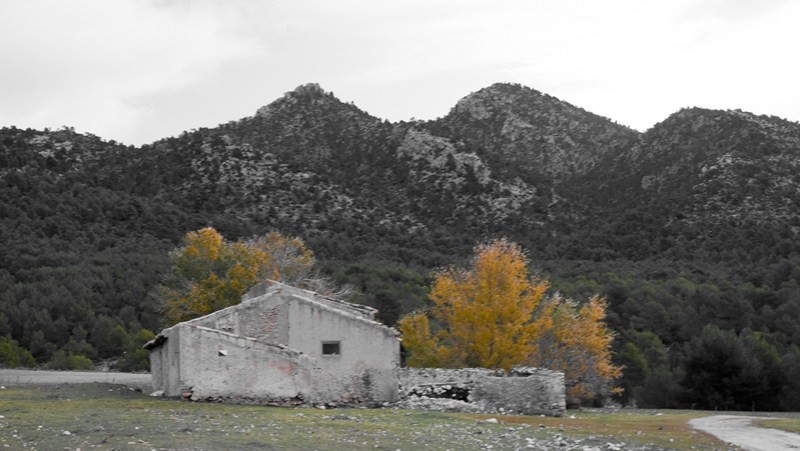 La_Carrasca's tweet image. 🏔️ ¡Ascensión al Pajarón, Moratalla! 🥾
Únete a nuestra próxima ruta de montañismo y senderismo que hemos planificado. Ascenderemos al Pajarón (1.560 m), una de las cumbres más panorámicas de todo el extremo noroeste de la Región de Murcia.
🗓 25 de enero
¡No te la pierdas!