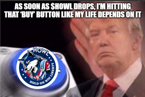 howlcoinxyz's tweet photo. When $HOWL drops, thereโs only one move: HIT THAT BUY BUTTON! ๐บ๐ฅ
Join the revolution and hold on for liberty. ๐
#HOWLForLiberty #BlueWolfAwakens #CryptoRevolution https://t.co/Omji0M3y92