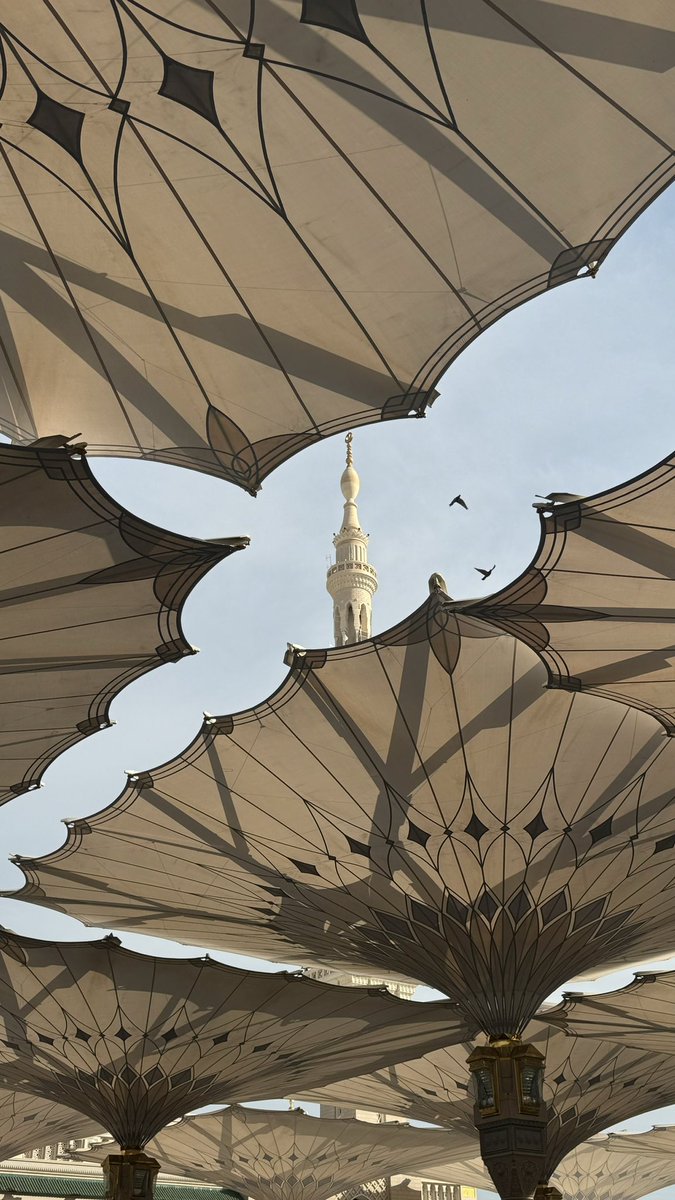 الحمدلله 🤍