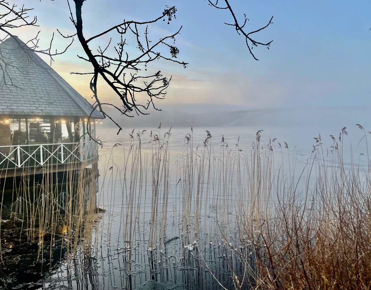 Super moody on the Malaren this morning (even if our Dorsetshire Jack Russell can’t help but lighten the mood).