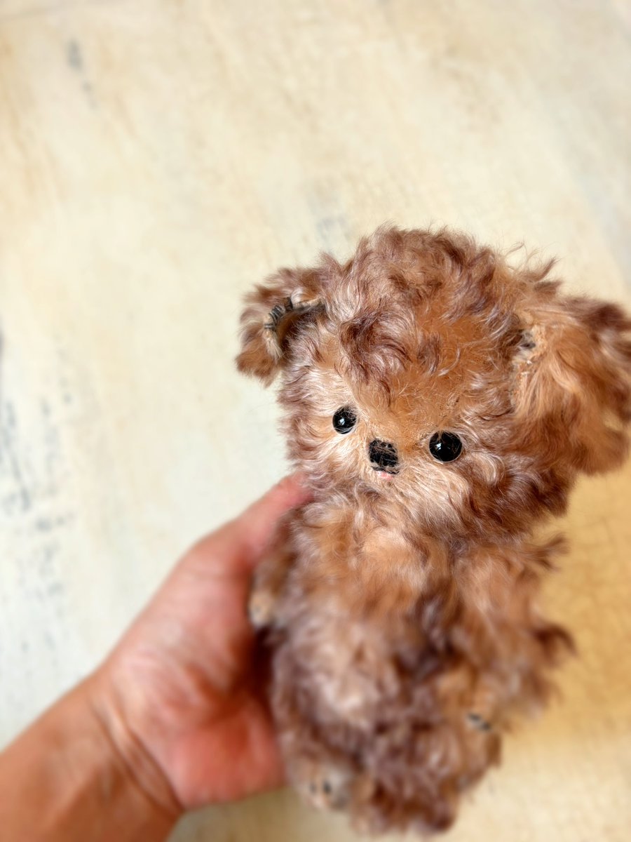 犬さんが誕生しました🐶