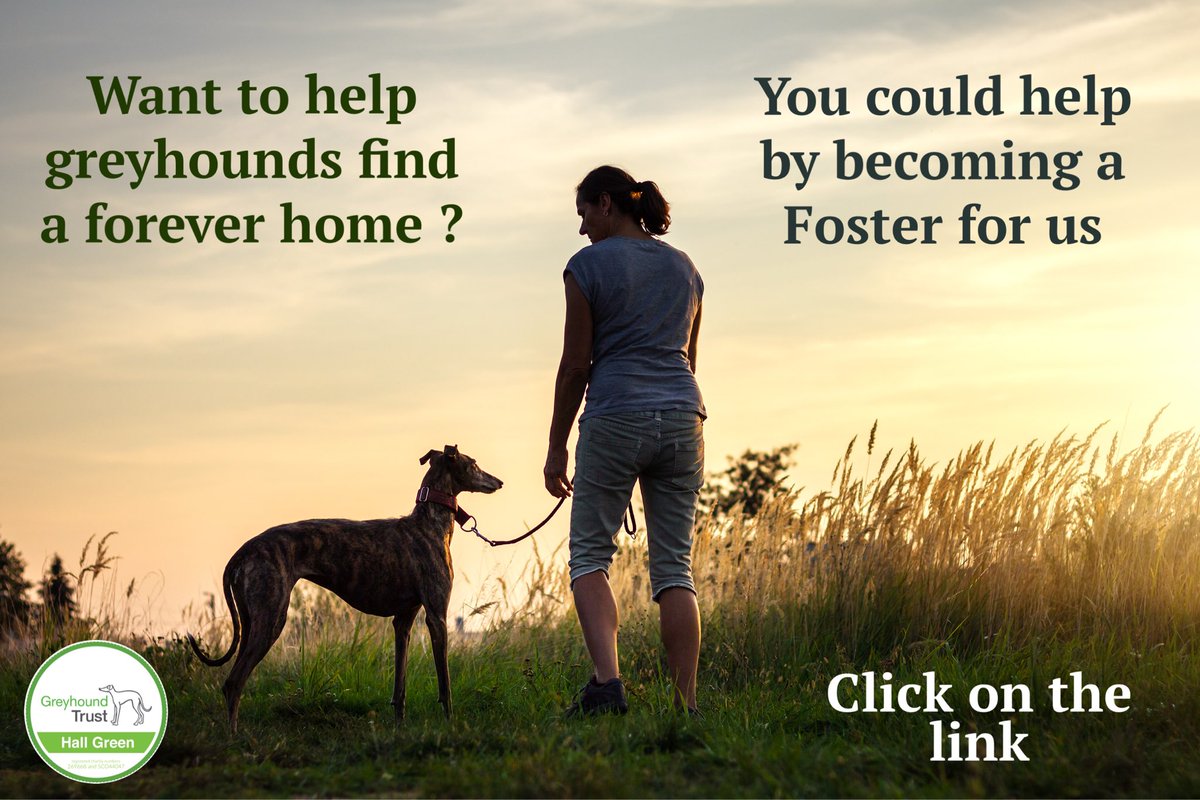 We are looking for Fosters in the Midlands and Yorks area to help get greyhounds out of kennels in to homes to give them a better chance of finding a forever home.

Interested ? click on the link and fill in some details and we will get in touch 💚

greyhoundtrusthallgreen.org.uk/foster-greyhou…