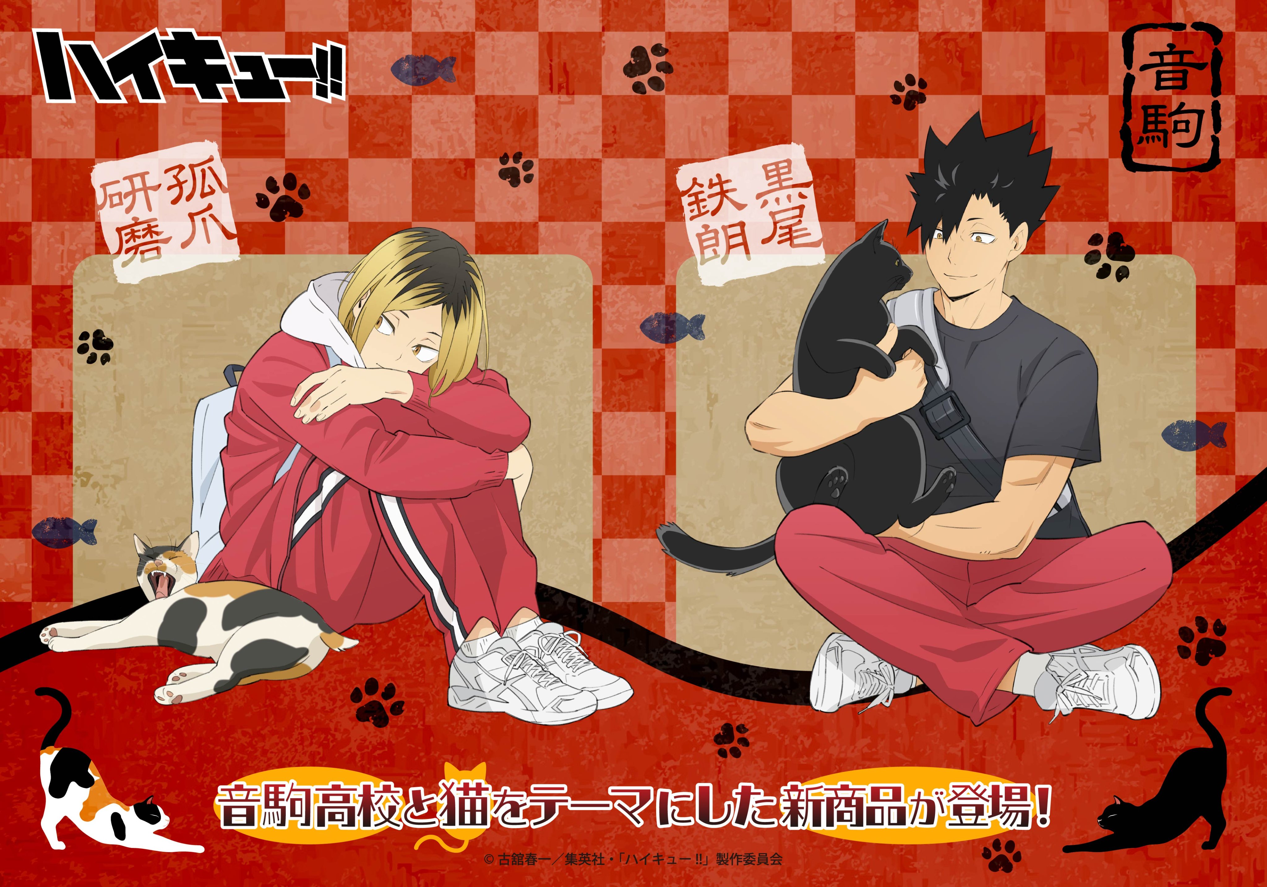 TOHO animation on X: 