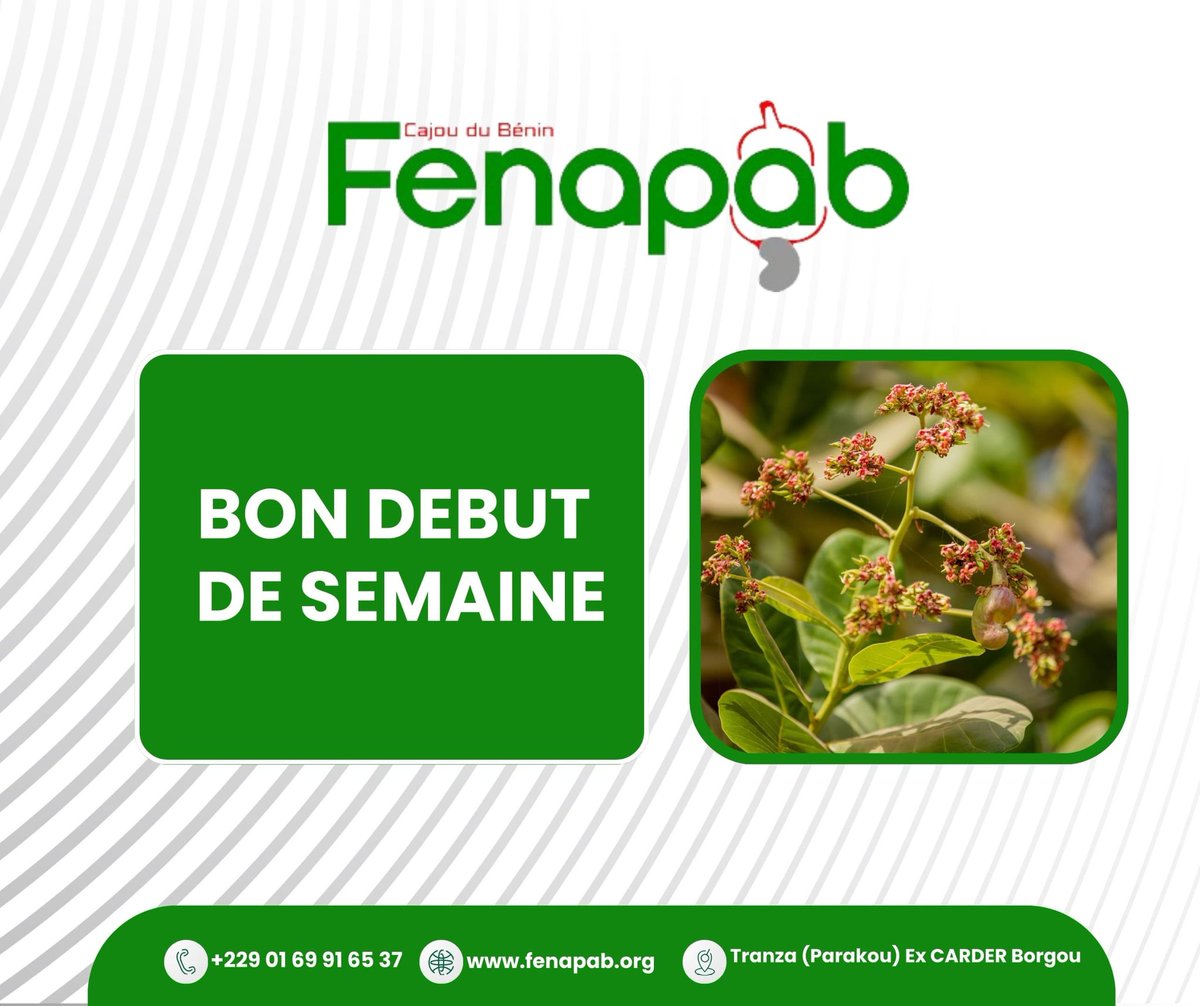 Fenapab2022's tweet image. 🌟 La FENAPAB vous souhaite un excellent début de semaine ! 🌟

Que cette nouvelle semaine soit remplie d&apos;énergie, de succès et de belles récoltes. Ensemble, continuons à bâtir une filière anacarde forte et prospère.
 
#FENAPAB #Anacarde