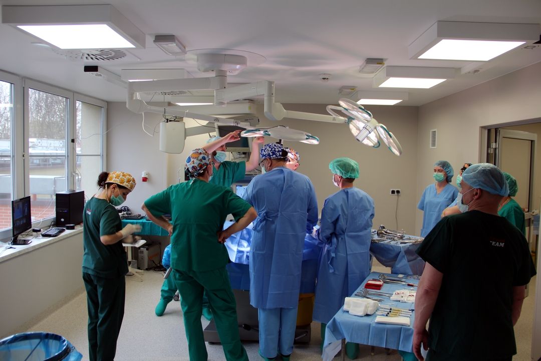 SilesiaLabMed's tweet photo. Poznaj możliwości współpracy z Centrum Medycyny Doświadczalnej!
Oferujemy:
- Zwierzęta laboratoryjne z własnej zwierzętarni 🐭🐰
- Salę operacyjną, przeznaczoną do zabiegów na zwierzętach, z możliwością pomocy naszego personelu 👩‍🔬
- Doradztwo w zakresie planowania eksperymentów https://t.co/cpo6mLrCw8