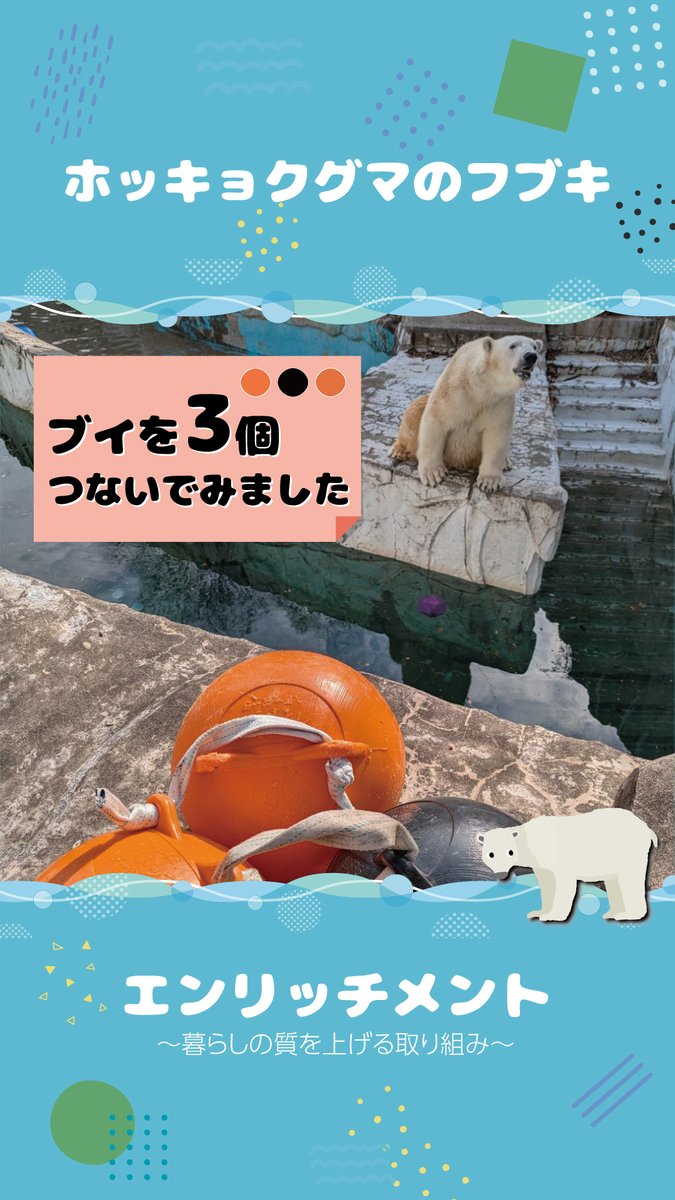 りえっクマ ≪4月の新商品≫アミューズプライズーNEW ITEM！☆くったりクマ